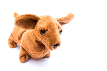 Brown dachshund dog doll isolated on white background.
