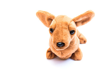Brown dachshund dog doll isolated on white background.