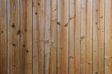 Texture of an old tree. Boards