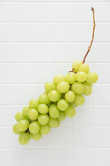 シャインマスカット