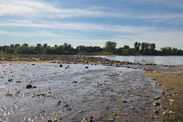 Landscape around tributary, rillet and estuary connect to main river and riverside of Rhine river in Düsseldorf, Germany. Natural shallow canal and pebble under clear flowing water around tidal marsh.
