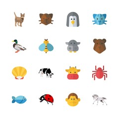 animal vector icons set. spider, cat, fish and shell in this set