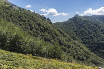 Naklejka na ściany i meble Beautiful mountain view from the Troyan area. Troyan Balkan is exceptionally picturesque and offers a combination of wonderful mountain scenery, fresh air, abundant healing mineral springs.