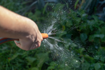 Woman using a red garden hose for irrigating plants in the garden in summer