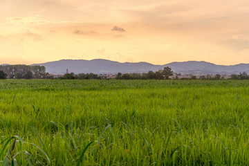 countryside panorama at sunset