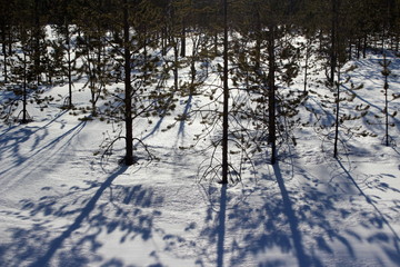 winter wonderland in laplad, finland