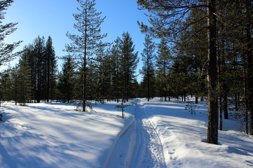winter wonderland in laplad, finland