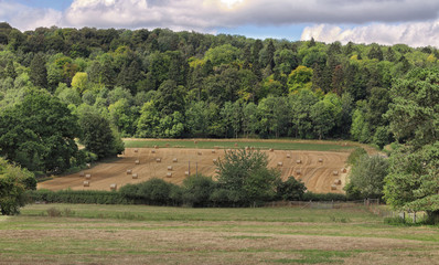 An English Rural Landscape in the Chiltern Hills