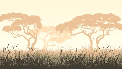 Foto op Plexiglas Horizontal illustration meadow grass and African acacia. © vertyr