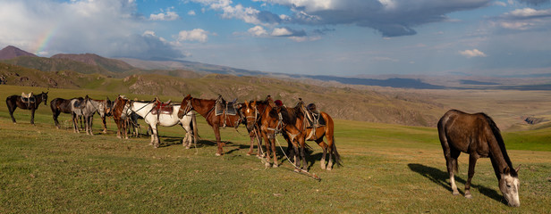 Kirgistan Kochkor Naryn
