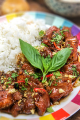 Delicious Vietnamese Caramelized Pork Recipe