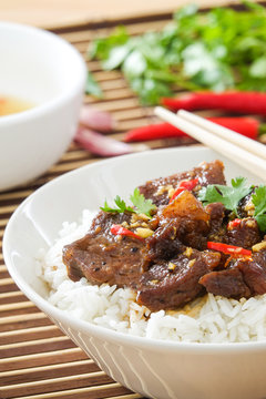 Delicious Vietnamese Caramelized Pork Recipe