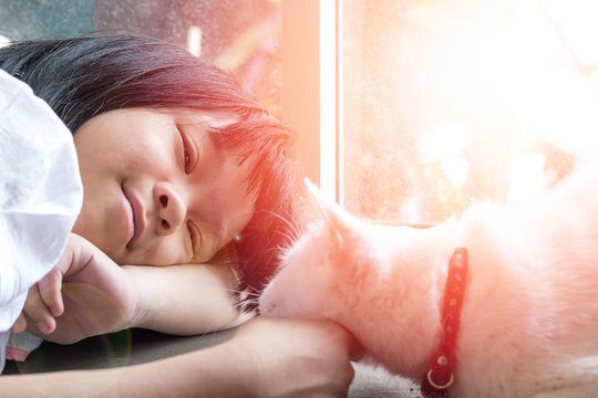 Selective focus on adorable Asia kid girl playing with Thai cat. Little happy Asian child lay down softly touching her pet at head.Love Your Pet Day.Random Acts of Kindness Week.Be kind to Animals
