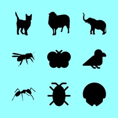 animal icons set. shorthair, wildlife, bridge and health graphic works