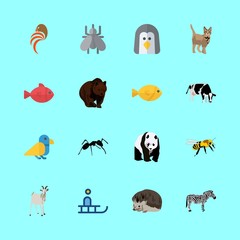animal icons set. marine, gentoo, tropical and silhouette graphic works