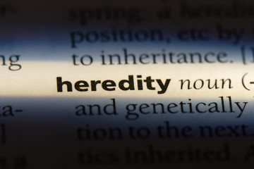 heredity