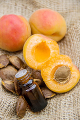 the apricot kernel oil.