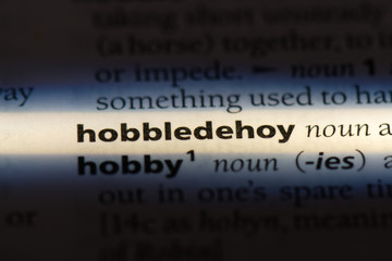 hobbledehoy