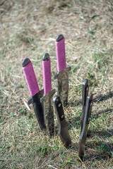 Throwing knifes stabbed in the grass. Stainless steel knifes on a green garden background.
