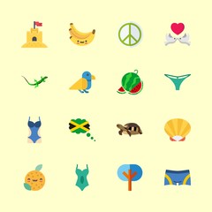 16 tropical icons set