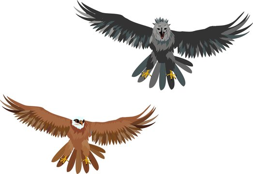 Isolated vector illustration of 2 eagles
