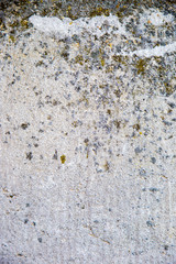 Fragment of a wall from a chipped stone.