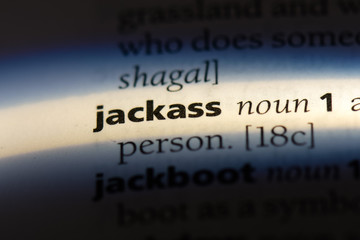 jackass