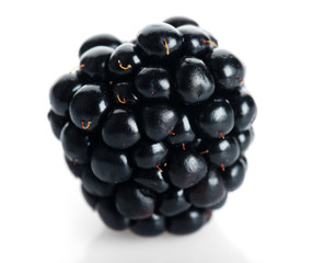 Ripe blackberry