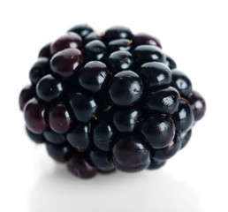 Ripe blackberry