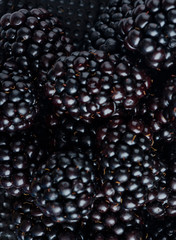 Fresh Ripe Blackberries