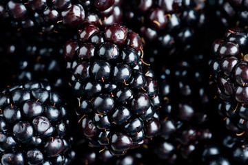Fresh Ripe Blackberries