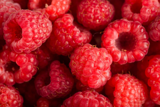 Fresh and sweet raspberries