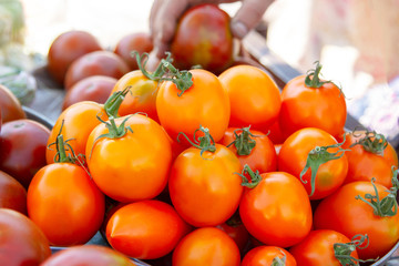 Yellow natural tomatoes on the market with a hand in the background. The choice of tomatoes in the market. Fresh natural yellow tomatoes on the market. The choice of vegetables on the farmer's tray.
