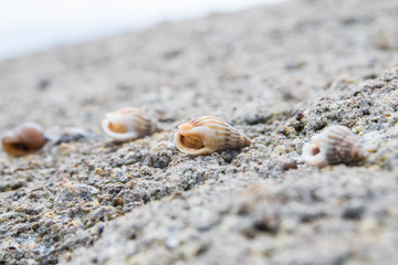 Promenade en Bretagne - Ploemeur - Kerroch