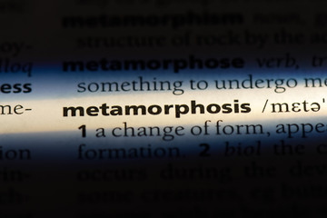 metamorphosis