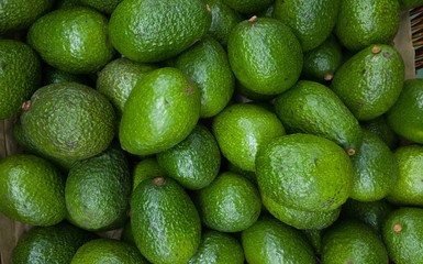 A bundle of nice and fresh avocados