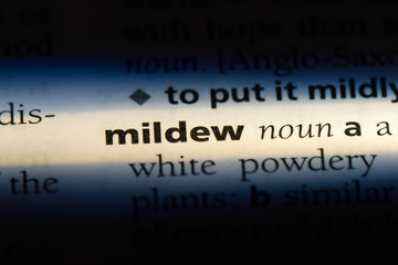 mildew