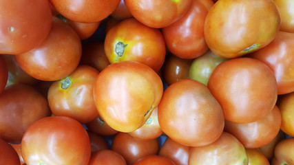 A bundle of nice and fresh tomato