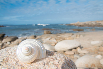 Playsage de Bretagne Kerroch