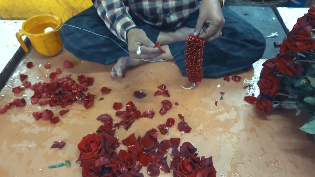 Art of hand making rose petal garland inside KR flower market, india