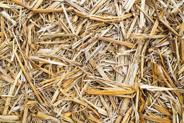 Closeup of dry straw texture nature background