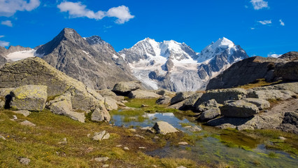 Fototapeta na wymiar Fuorcla Surlej is one of the most beautiful places in Engadin. You can enjoy the view on the glaciers and Piz Roseg and Piz Bernina, it is simply breathtaking.