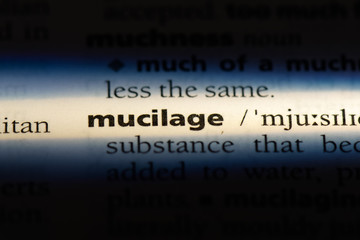 mucilage