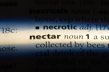 nectar © Casimiro