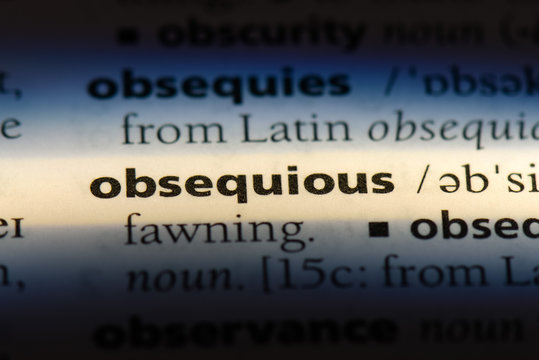 Obsequious Images – Browse 316 Stock Photos, Vectors, and Video | Adobe  Stock