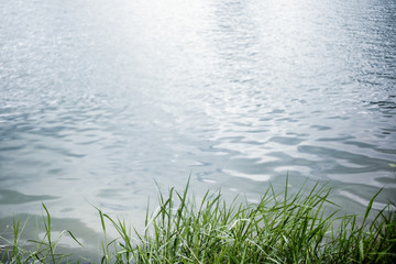 Water surface with ripples and sunlight reflections