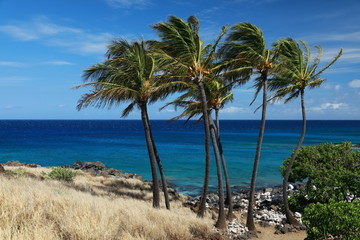 Lapakahi State Historical Park, Big Island, Hawaii