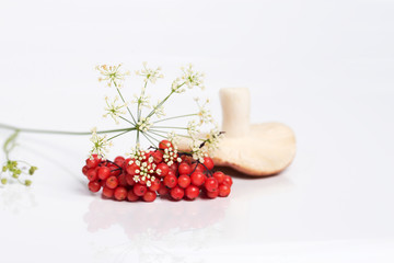 Lying mushroom with red berries on a white background.