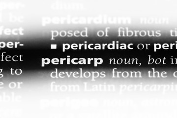 pericarp