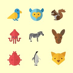 Naklejka premium animal icons set. photography, tree, squirrel and habitat graphic works